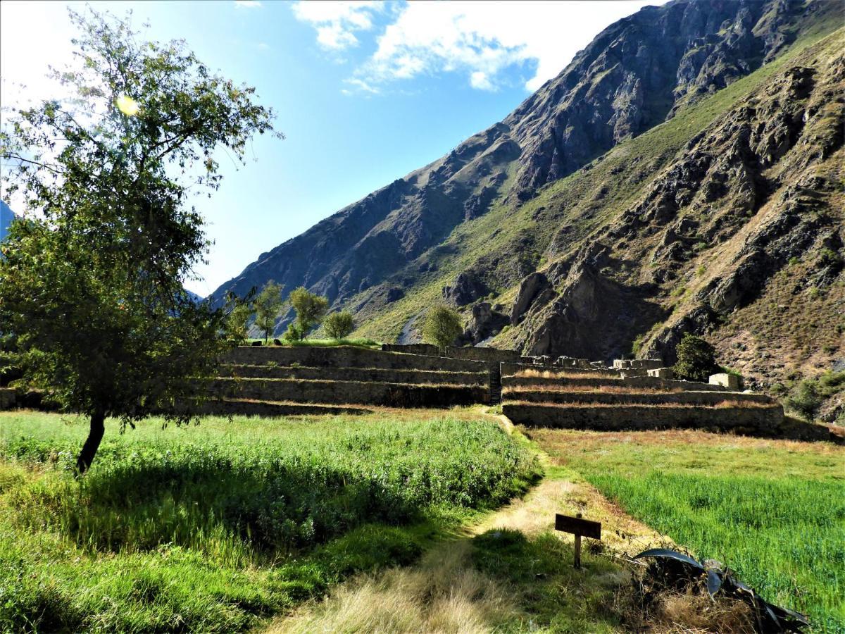 Ayllu B&B Ollantaytambo Exterior photo