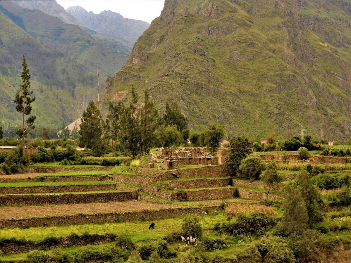 Ayllu B&B Ollantaytambo Exterior photo